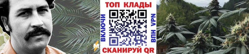 Магазины продажи наркотиков Петровск ГАШИШ  Бошки Шишки  КОКАИН  Меф мяу мяу 