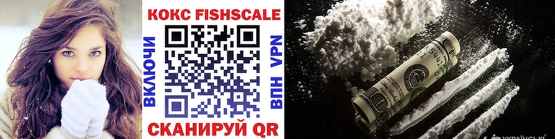 Кокаин Fish Scale  OMG маркетплейс  Петровск 